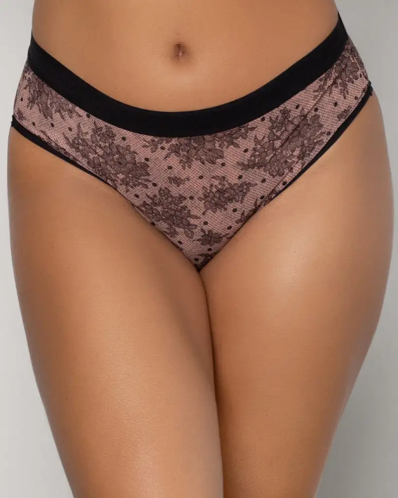 Sheer Mesh Everyday Brief