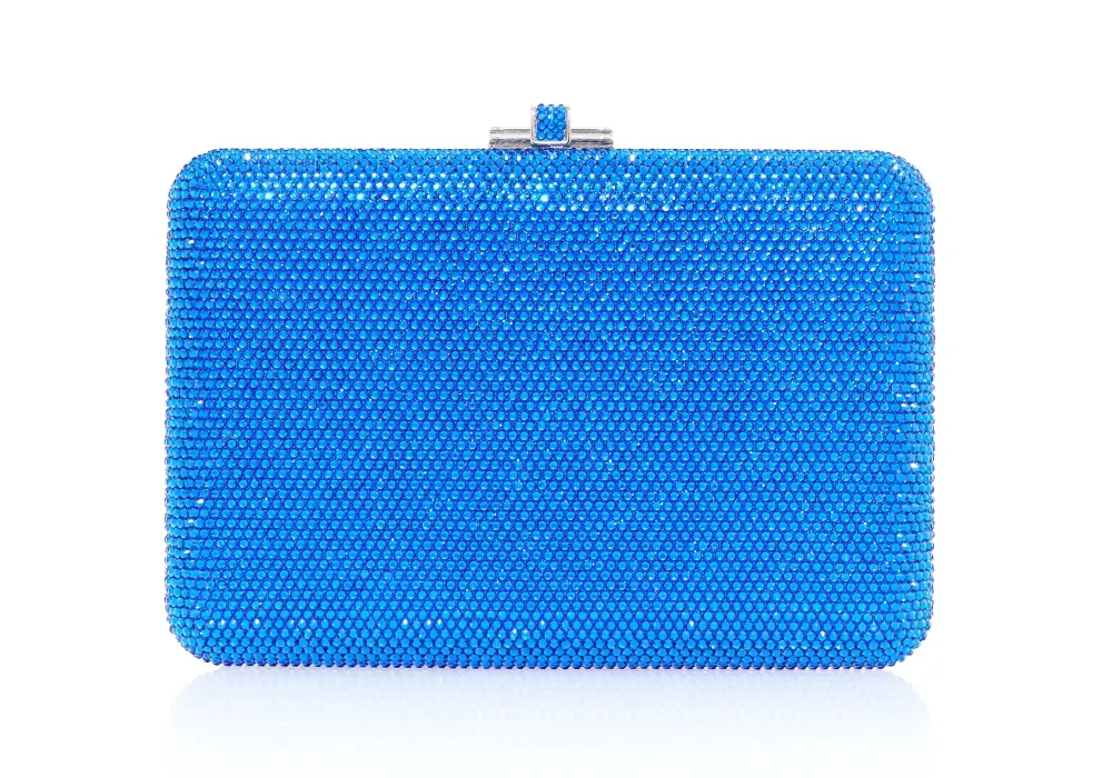 Detailed Slim Slide Embellished Clutch