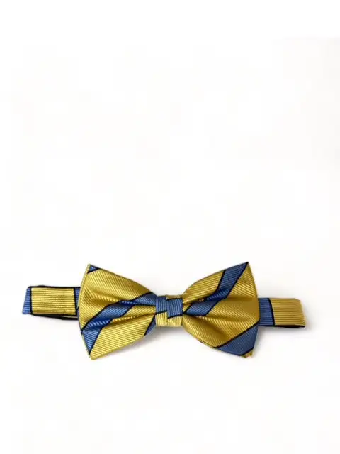 Event-Ready Striped Silk Bow Tie