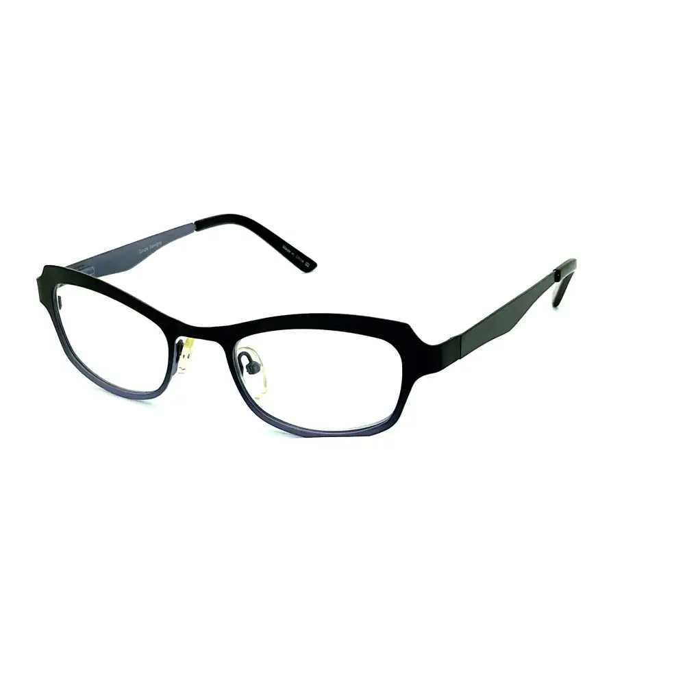 Oval Reading Glasses with Case