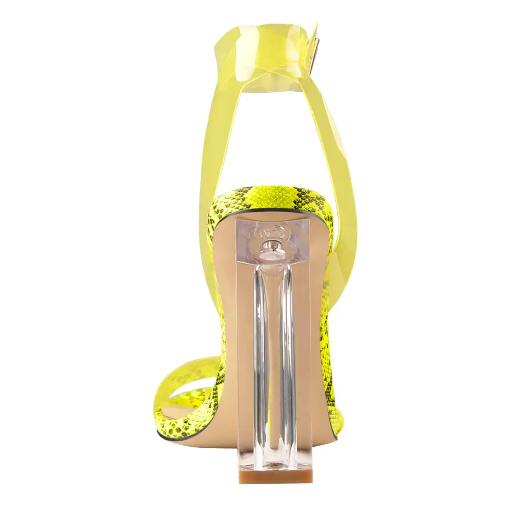 Clear Ankle Strap Perspex High Heel Sandals