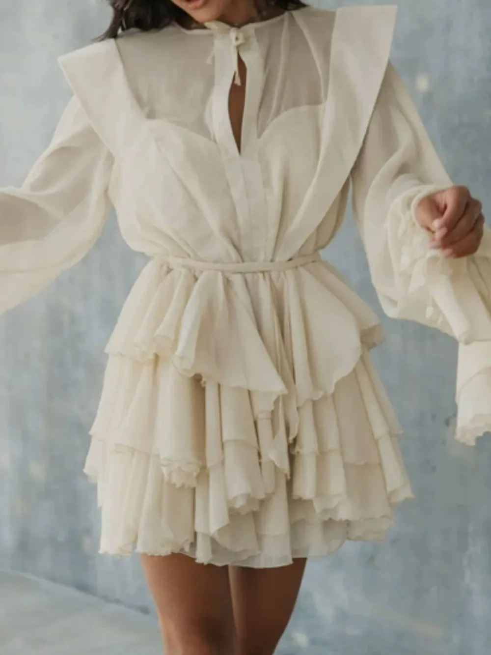 Soft Touch Ruffle Long Sleeve Mini Dress