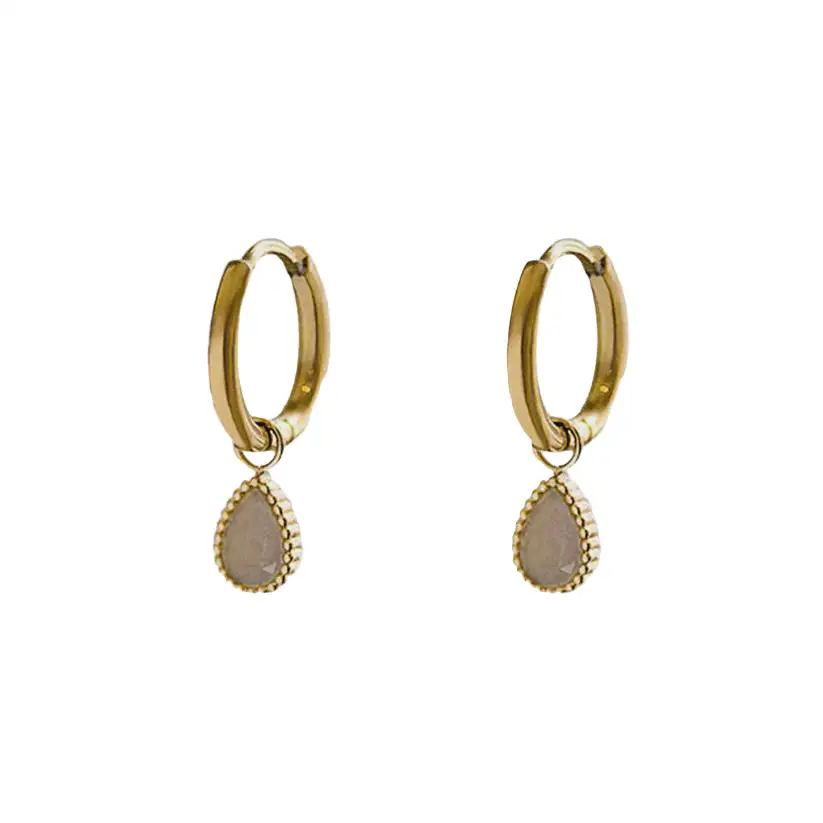 Elegant and Stylish Earrings Labradorite