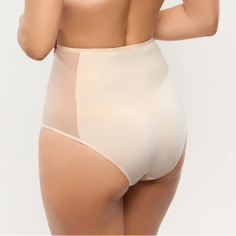 Women's Embroidery Mesh Cutout Detail Lightweight High Waist Panty