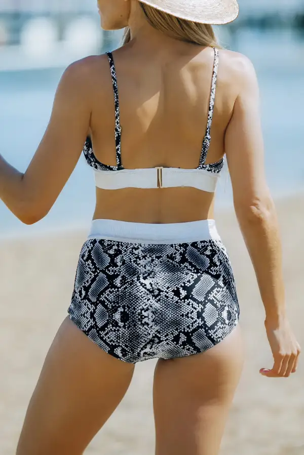 Swimwear Animal Print Two-piece High Waisted Bikini Set
