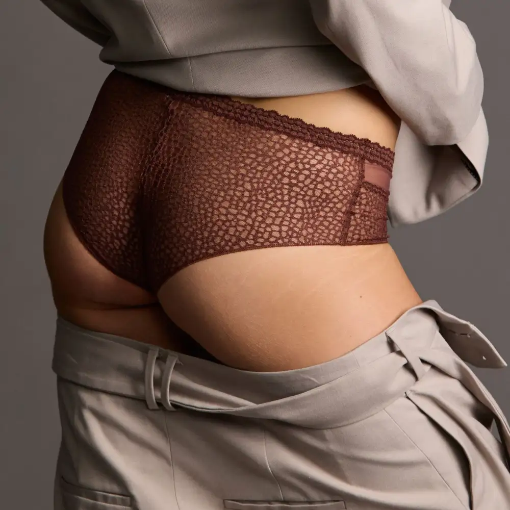 Women's Cheeky Cotton Gusset Lace Mesh Cotton Shimmer Detail Soft Fabric Boxer Panty