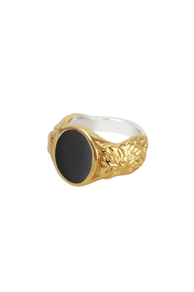 Onyx Polished Ring