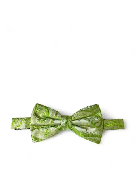 Polished Paisley Silk Bow Tie