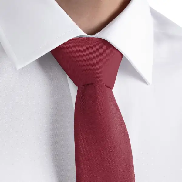 Polished Solid Theme Necktie