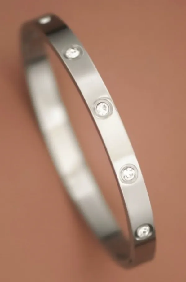 Stainless Steel Bangle Bracelet
