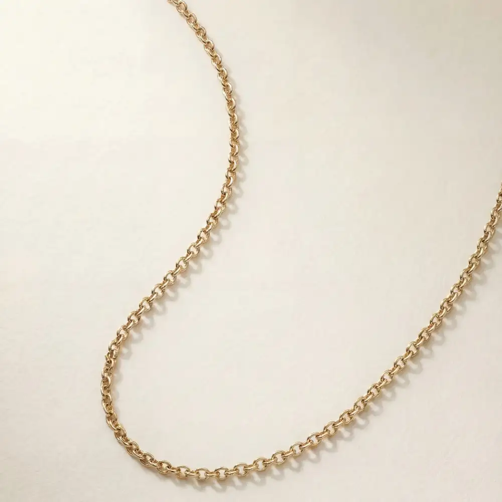 Chain Everyday Necklace
