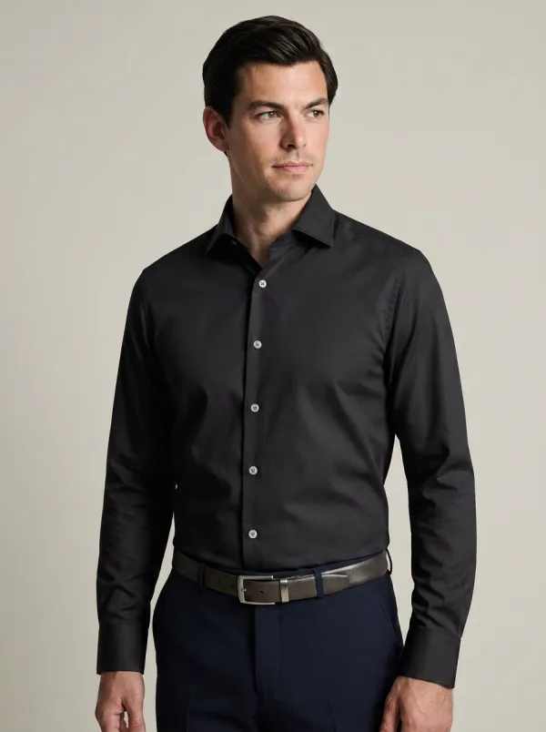 Men's Non-Iron Cotton Solid Sage Green Long Sleeve Shirt