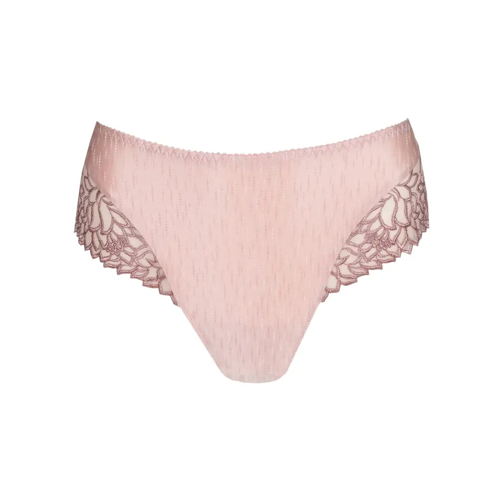 Women's High Cut Lace Mesh Vintage Detail Retro Detail Tanga Panty