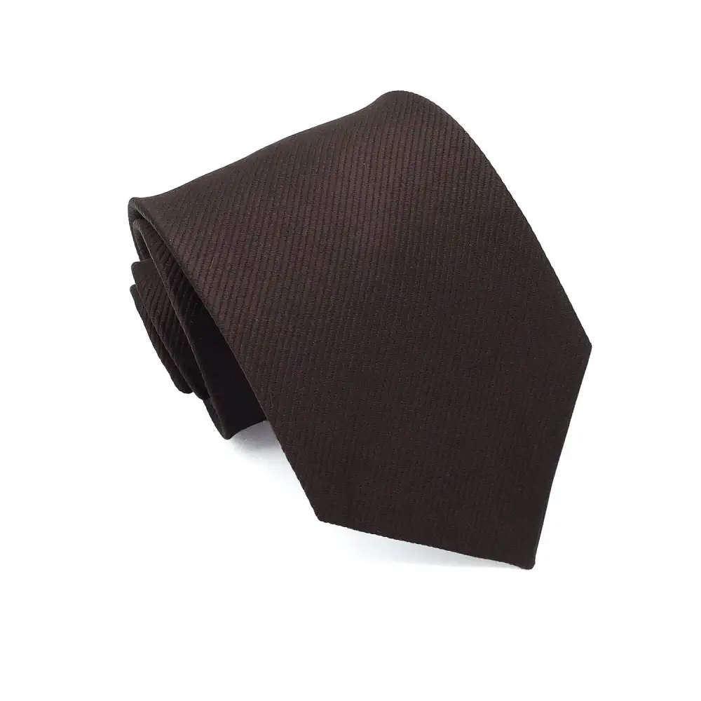 Silk Elegant Ties Valentines Day