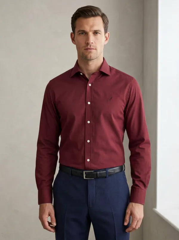 Men's Non-Iron Cotton Feather Embroidered Long Sleeve Shirt