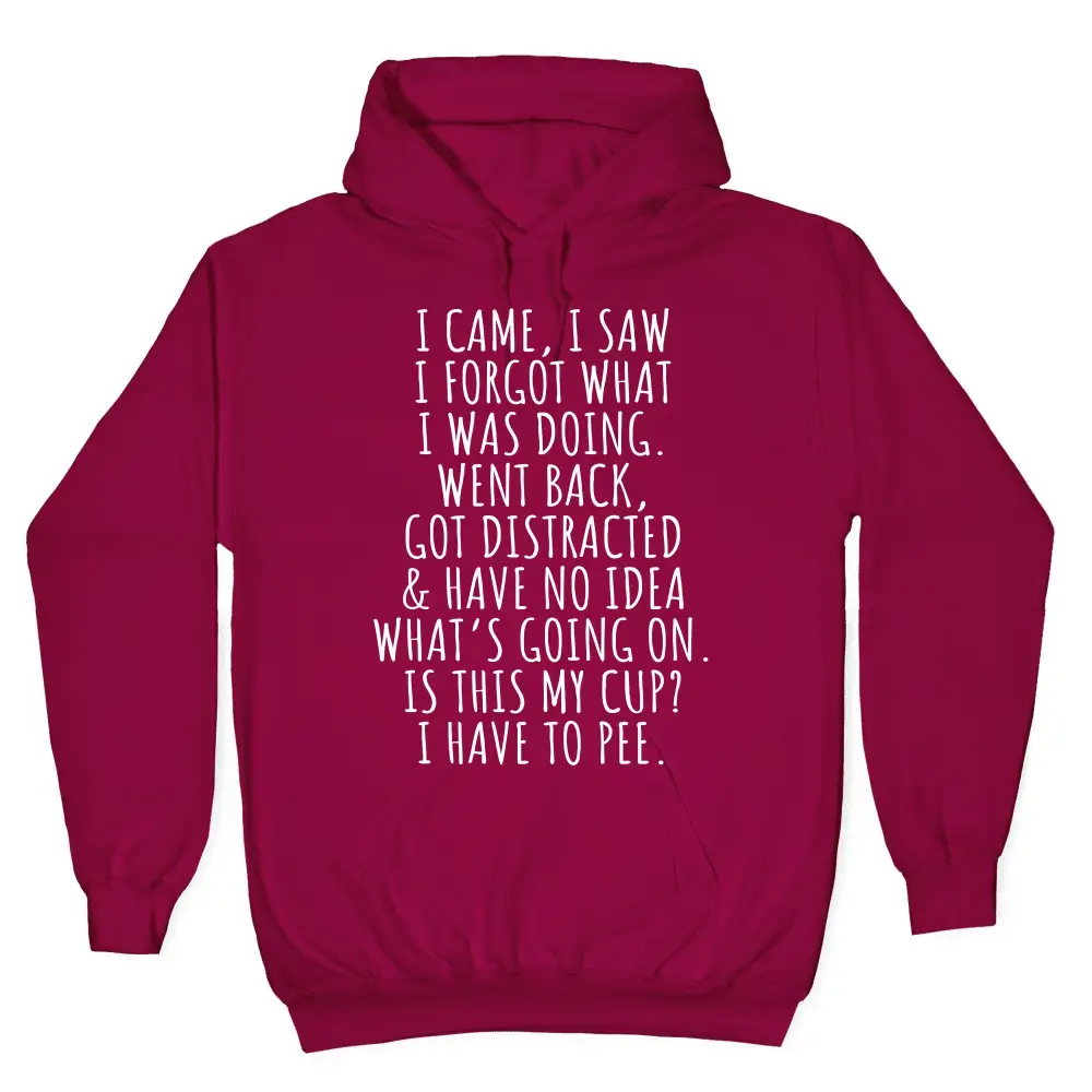 Simple Pet Pullover Hoodie