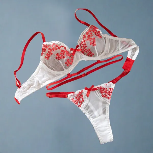 Embroidered Bow Sheer Underwire Bra Set