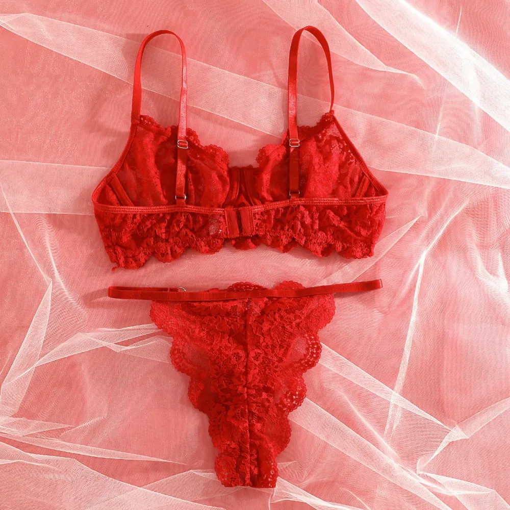 Sheer Lace Suspender Bra And Panty Set
