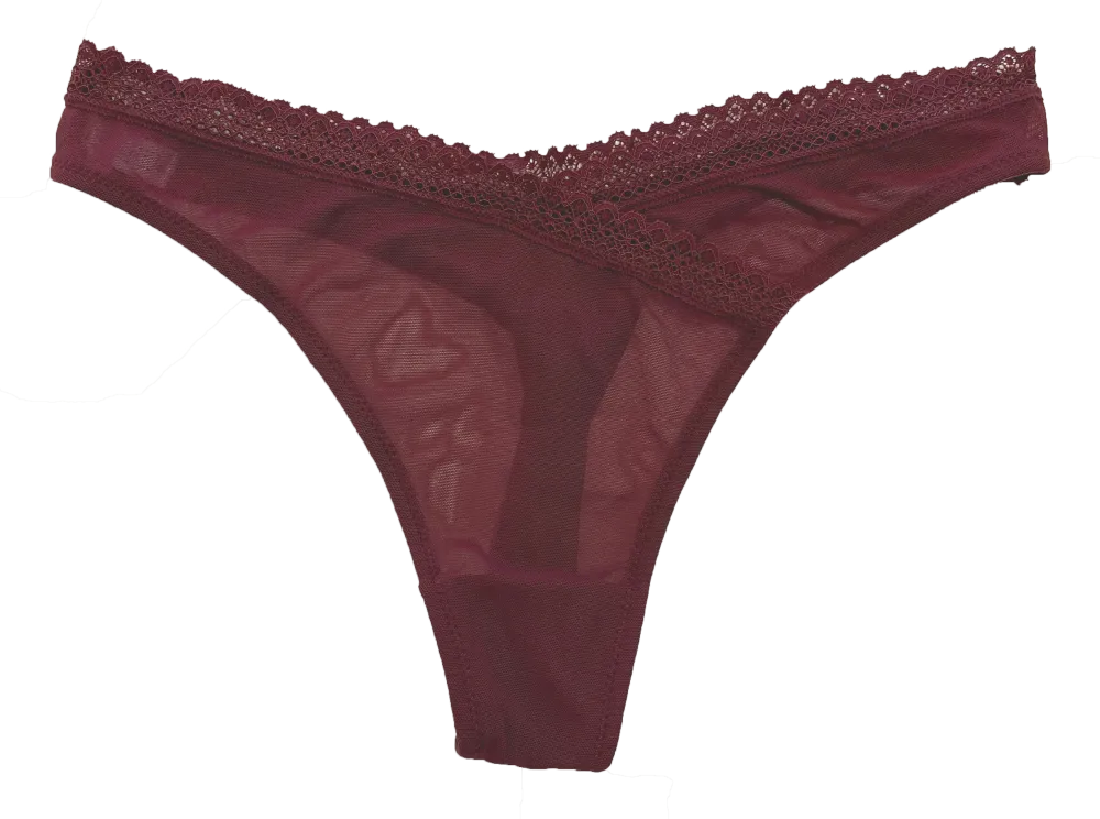 Classic Lace-Trim Lace Mesh Thong Panty