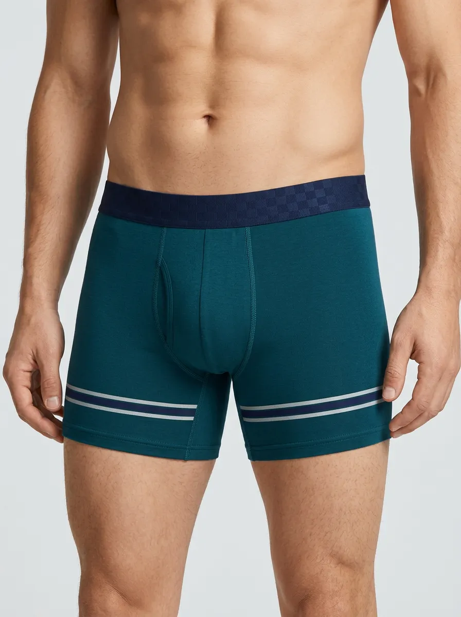 Striped Pattern Boxer Briefs