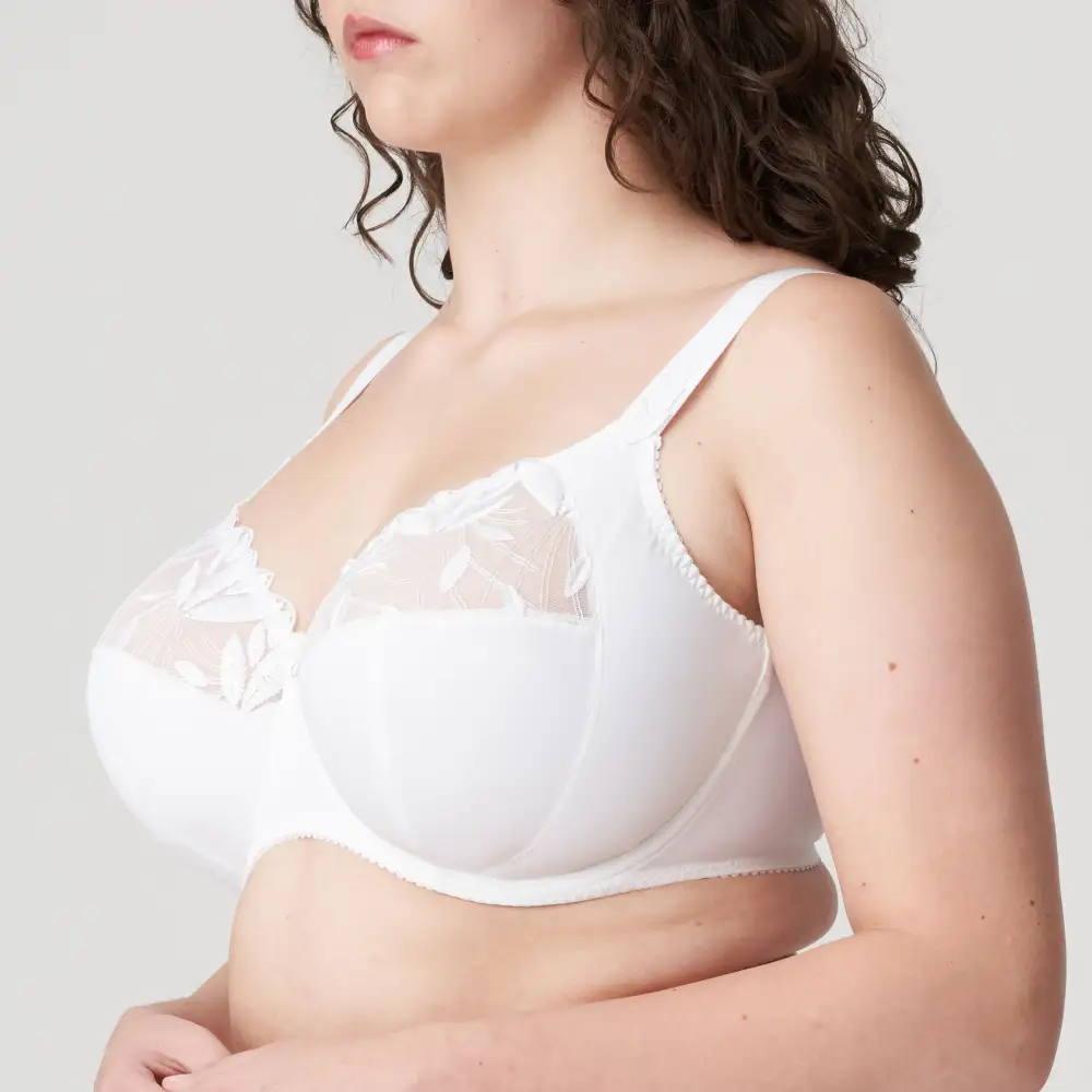 Women's Full Coverage Underwire Three-Part Cup Embroidery Shimmer Detail Bra