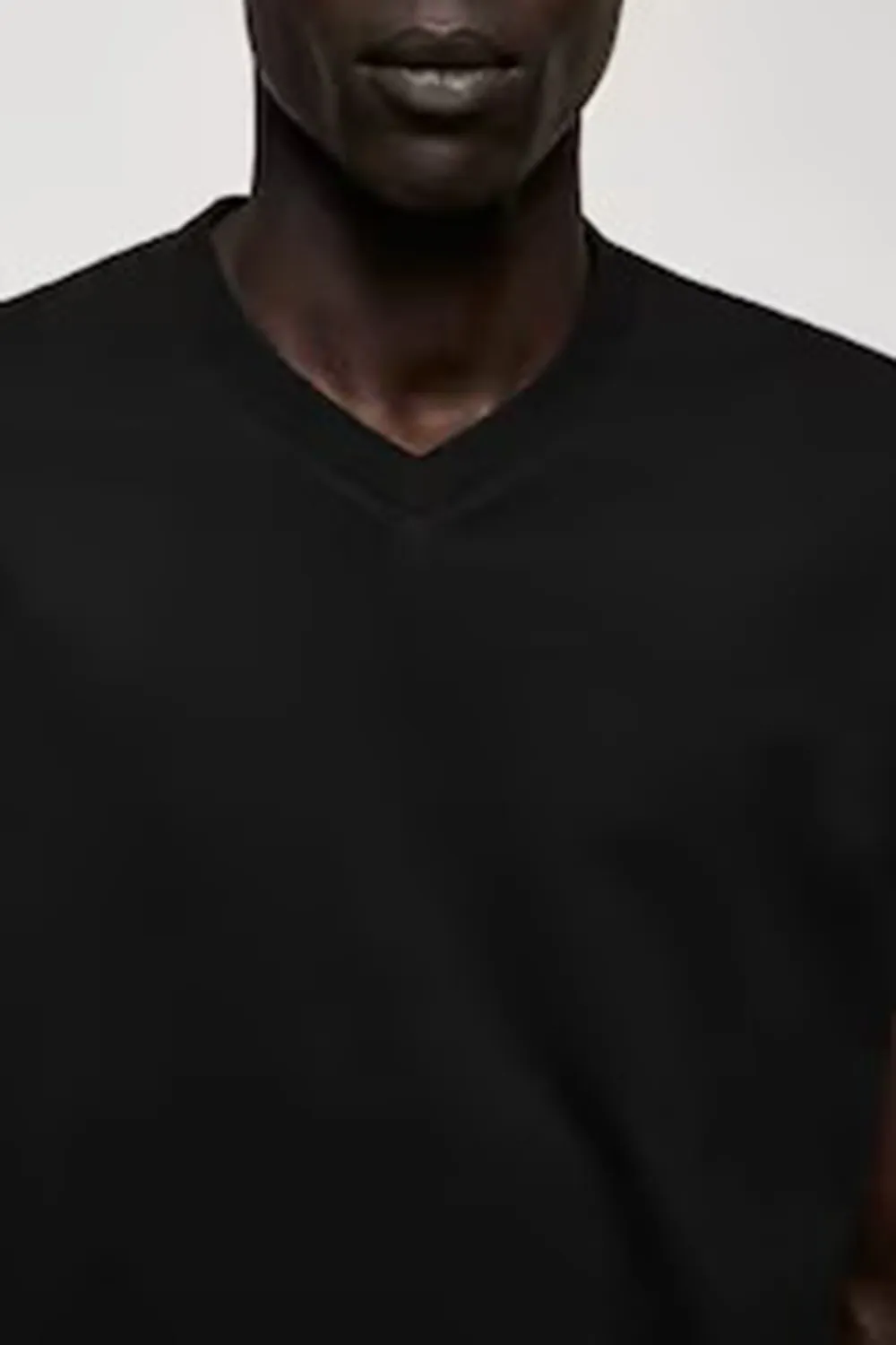 Regular Fit Cotton V-Neck T-shirt