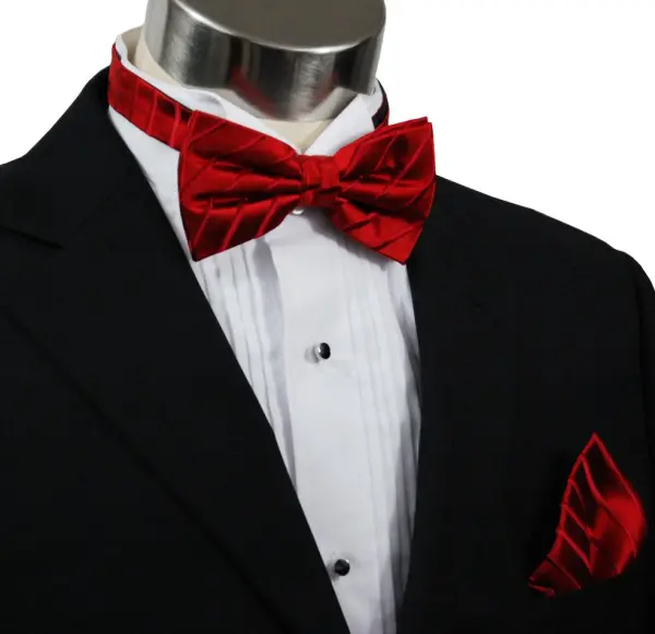 Well-Dressed Solid Silk Bow Tie Set