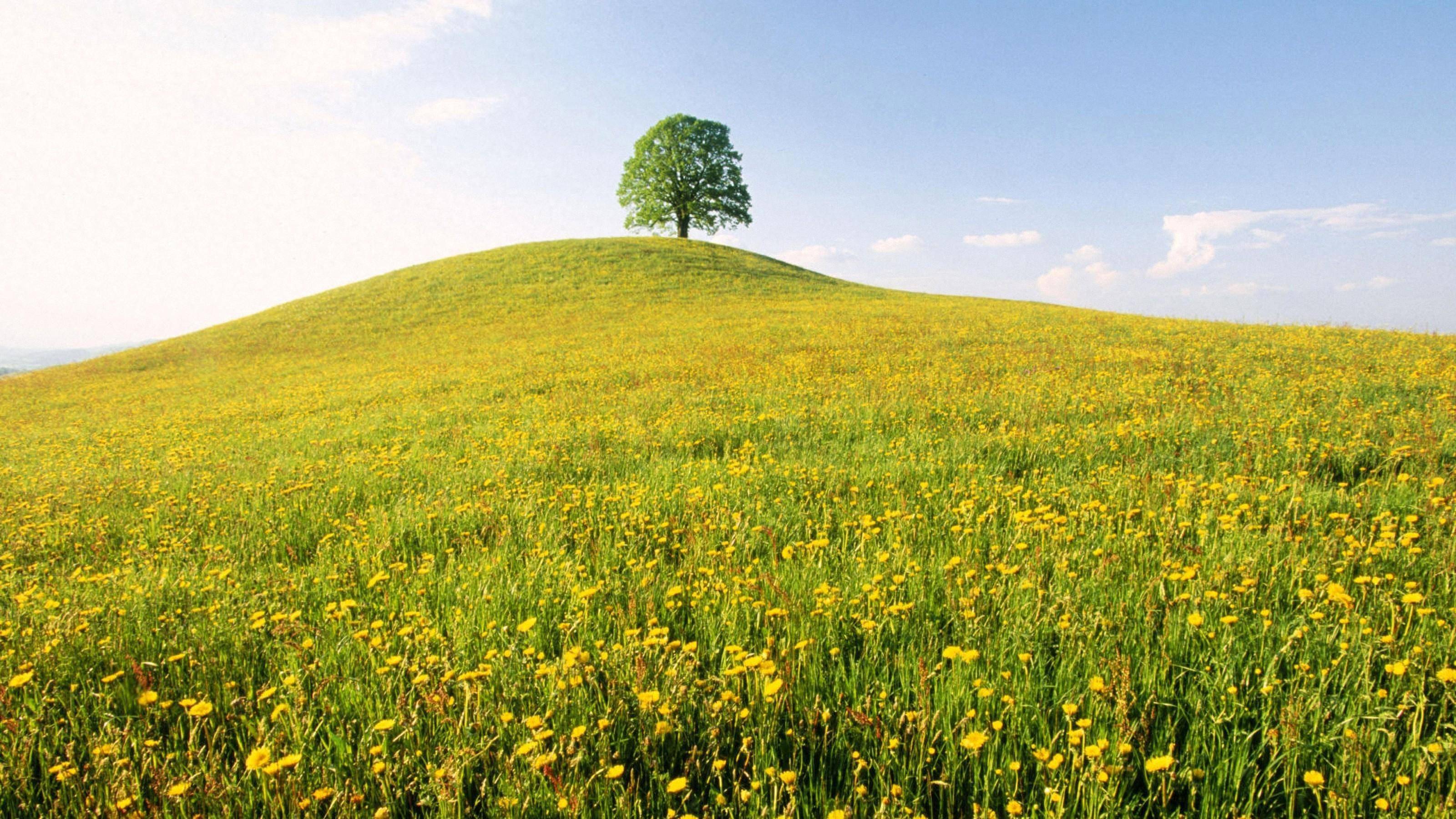 072 Short Sleeve Daily Casual Crewneck Regular Fit Summer