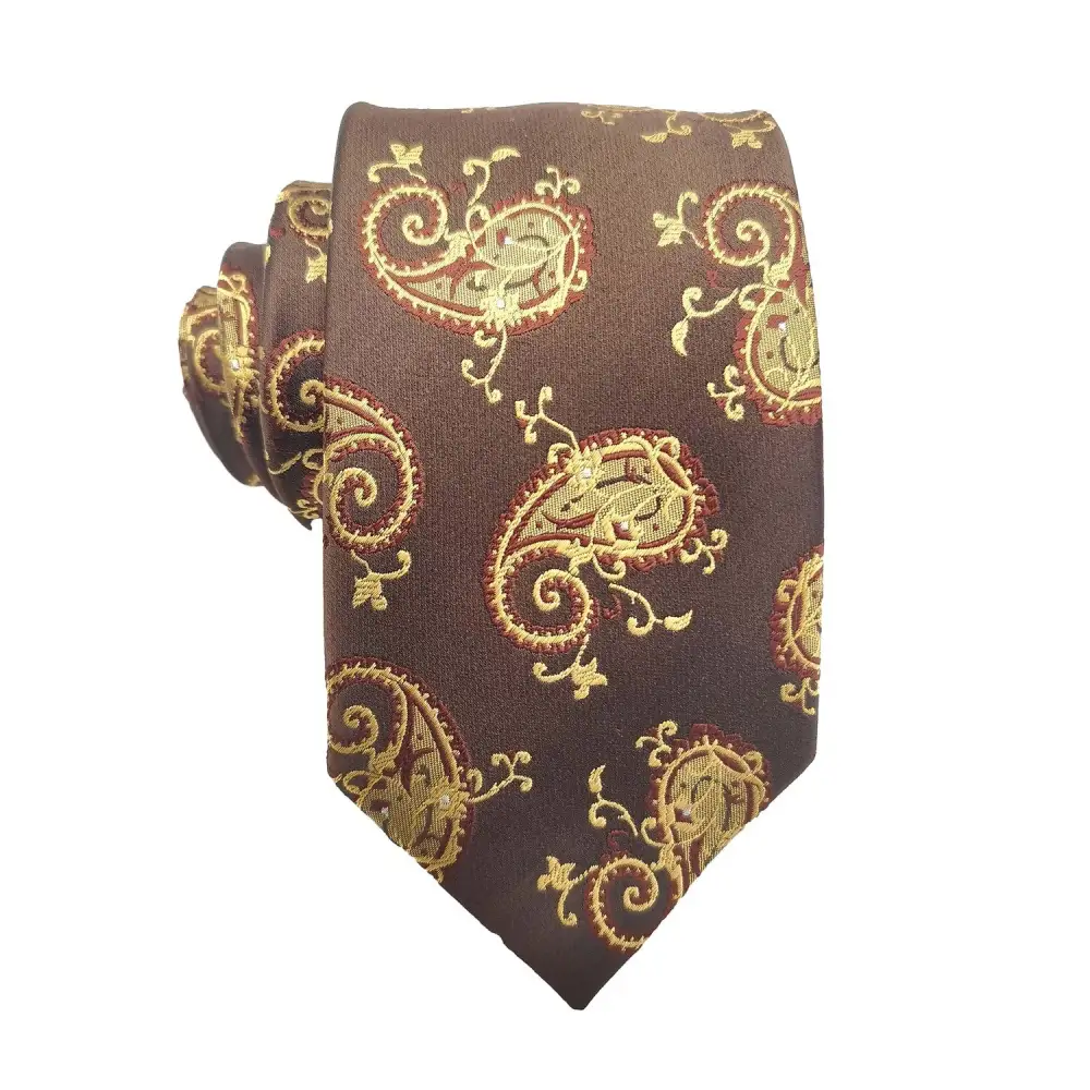 Silk Paisley Tie