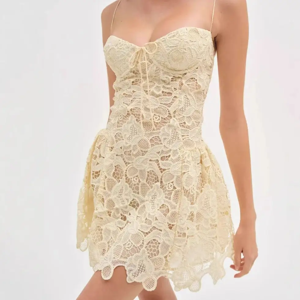 Refined Lace Embroidered Mini Dress