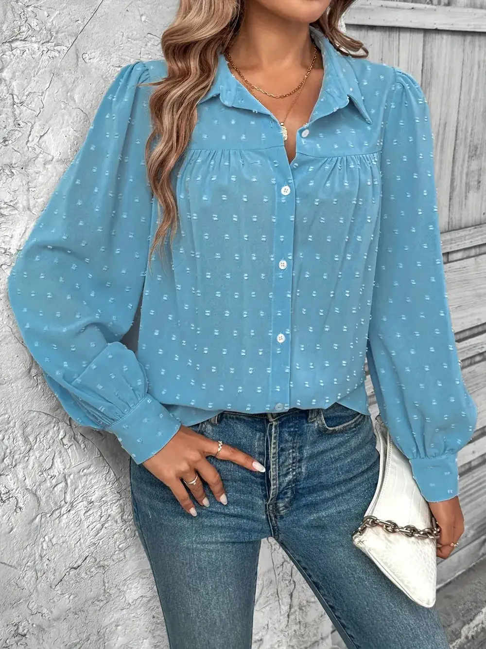 Swiss Dot Collared Neck Long Sleeve Shirt