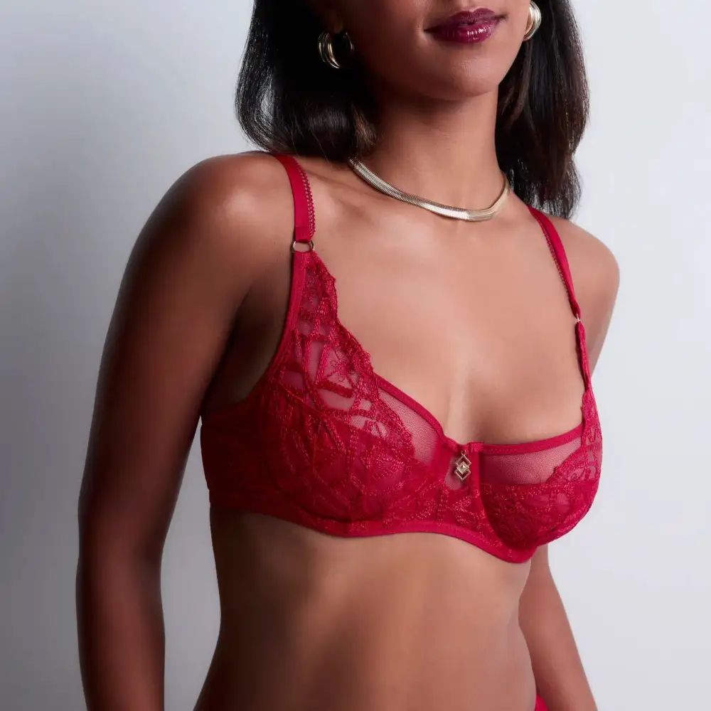 Women's Plunge Full Coverage Embroidery Mesh Sheer Detail Bra