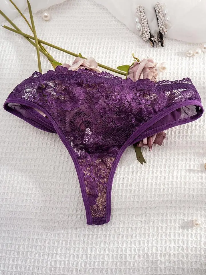 Delicate Lace Sheer Bra And Panty Set
