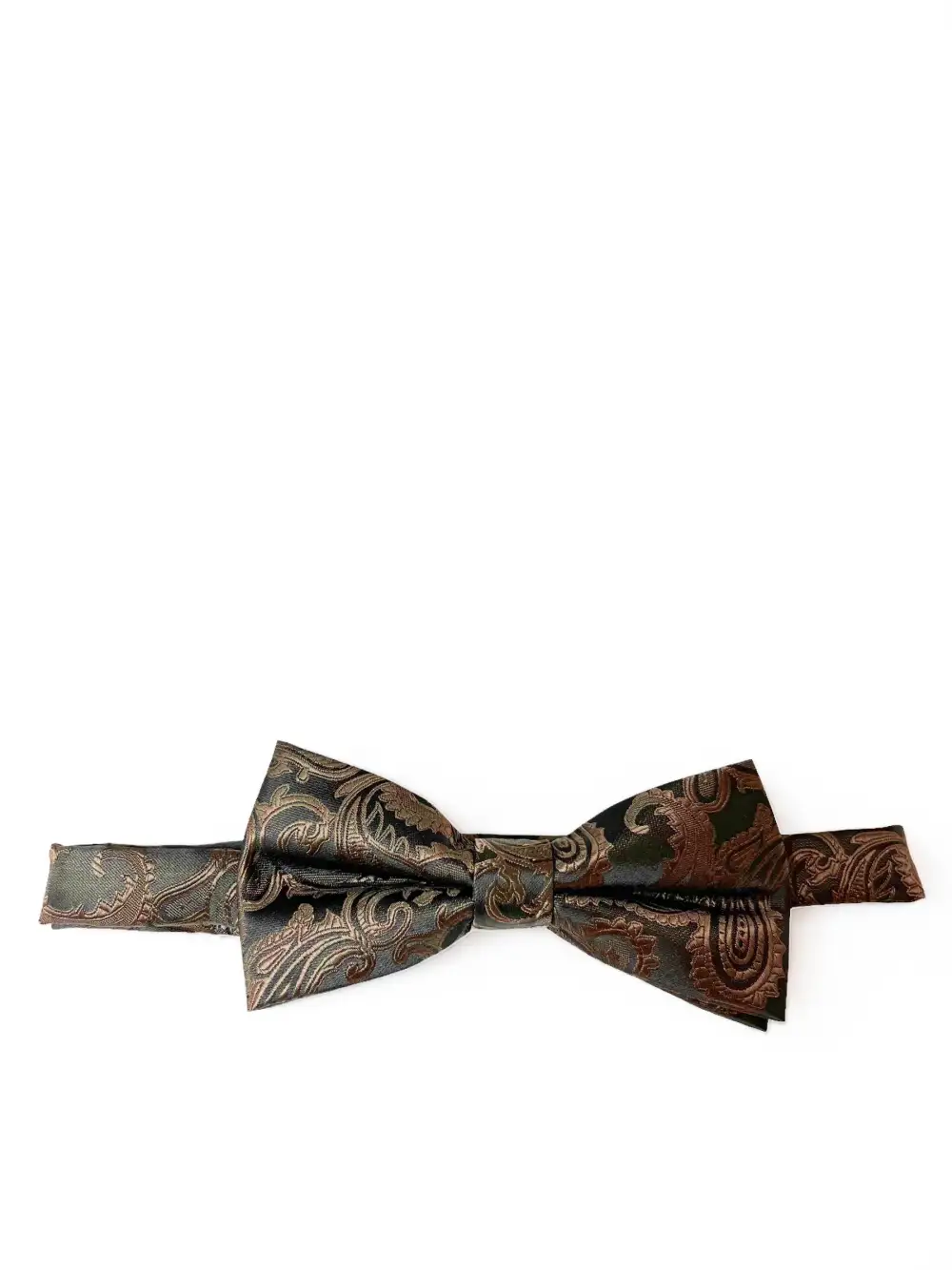 Formal Paisley Polyester Bow Tie