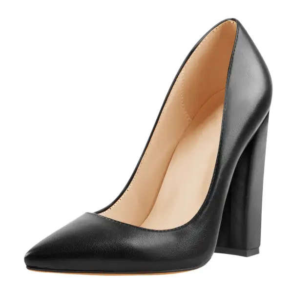 Pointed Toe Chunky Heel Pumps