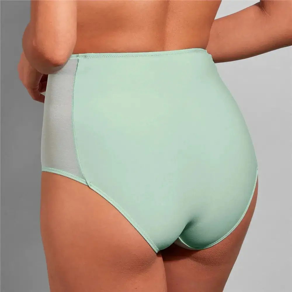 Women's Embroidery Mesh Cutout Detail Lightweight High Waist Panty