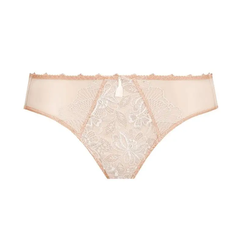Women's Embroidery Mesh Bikini Panty
