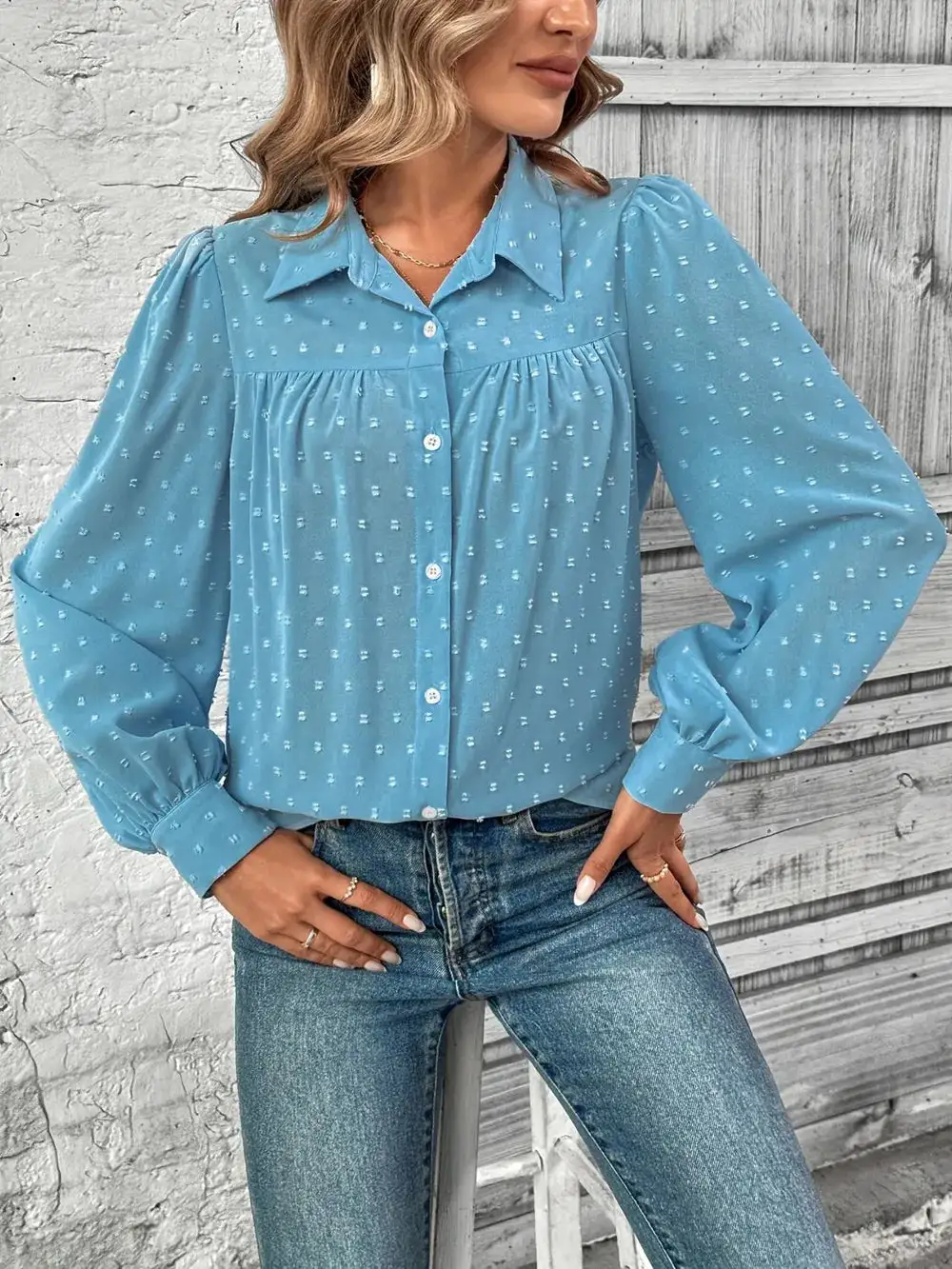 Swiss Dot Collared Neck Long Sleeve Shirt