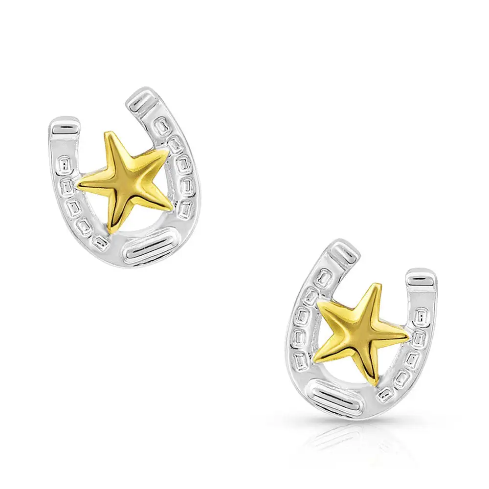 Horseshoe Western Stud Earrings