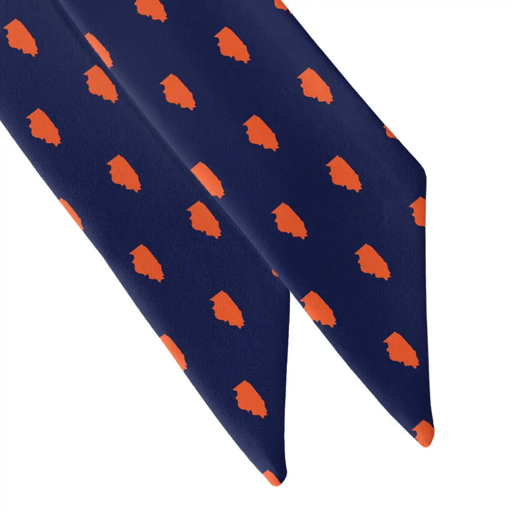 Illinois State Outline Design Hair Scarf