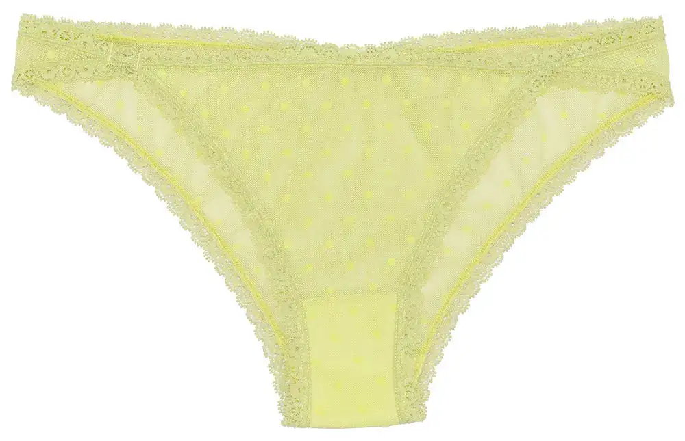 Lace Mesh Polka-Dot Everyday Panty