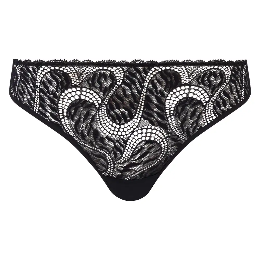 Women's Lace Mesh Tanga Panty