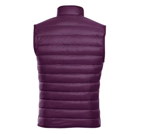 Classic Fit Dress Vest