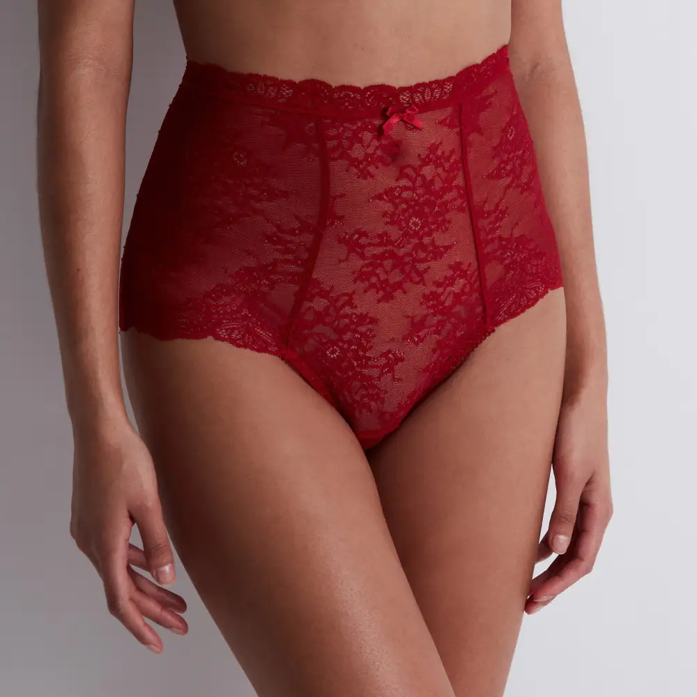 Women's Floral Lace Sheer Detail Shaping High Waist Panty