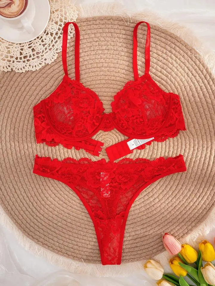 Delicate Lace Sheer Bra And Panty Set