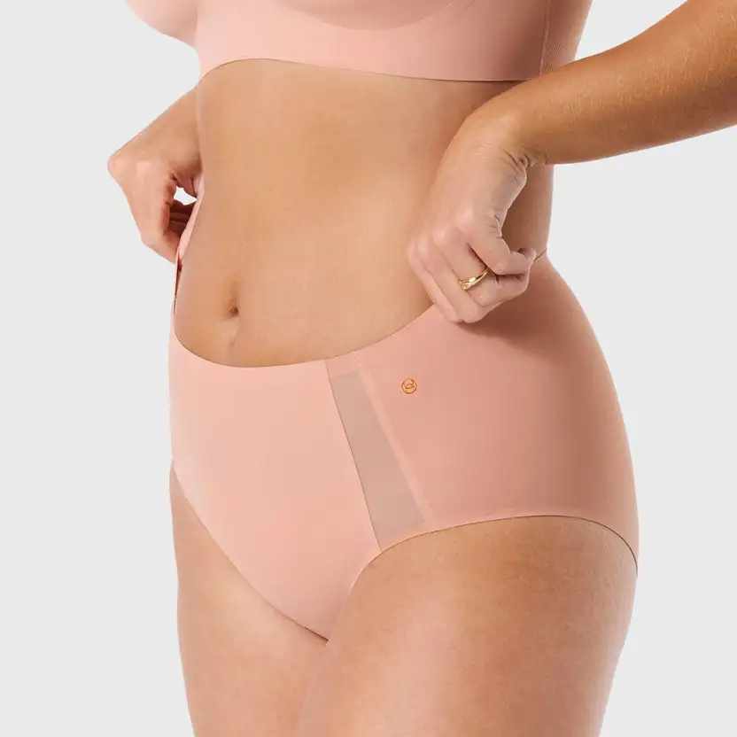 Mesh Detail Bikini Panty