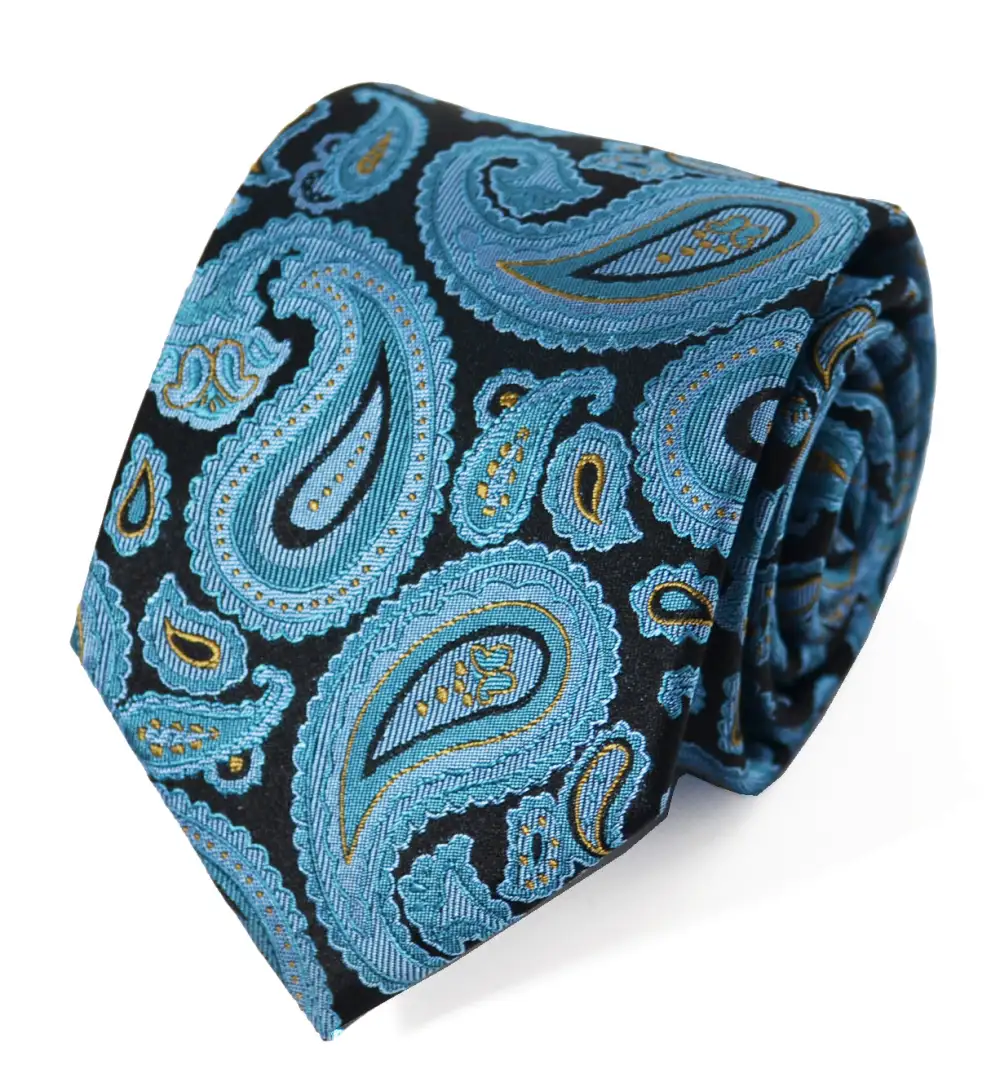 Modern Silk Paisley Men's Necktie Accessory Set