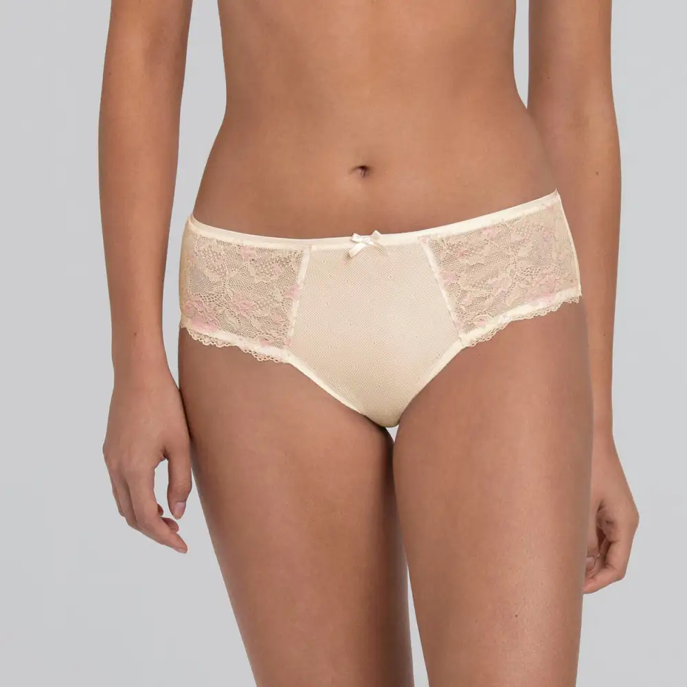 Women's Brief Panty With Lace Mesh