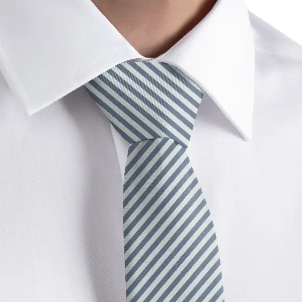 Polished Stripe Arrangement Necktie
