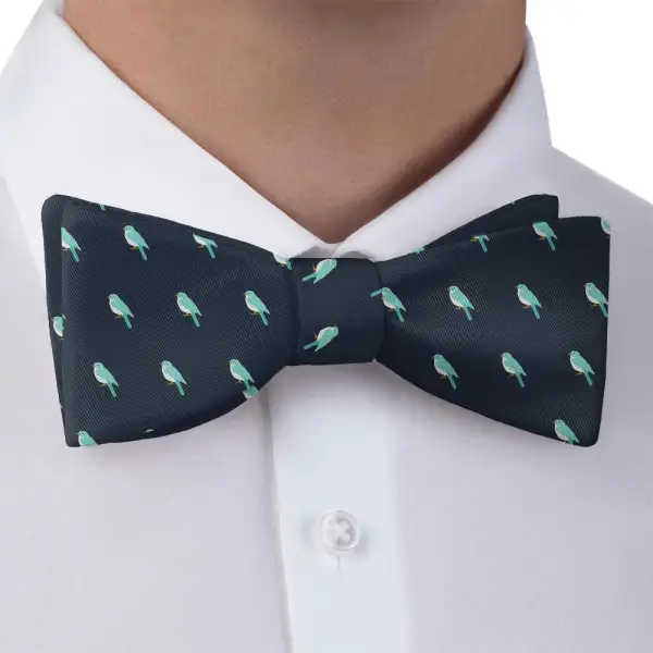 Baby Bird Pattern Bow Tie